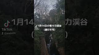 1月14日の等々力渓谷(通行不可)