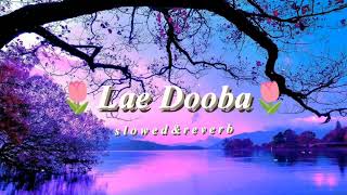 Lae Dooba | Lofi Music | [Slowed & Reverb]
