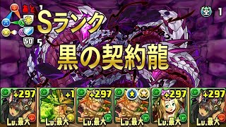 【パズドラ】黒の契約龍 滅雷龍 超地獄級 Sランククリア 覚醒バステト 龍族拼圖