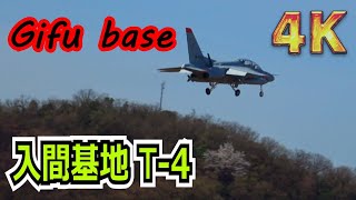 【4K】入間基地からの来客T-4飛来！飛実に立ち寄って速攻で旅経っていっちゃった！！ in岐阜基地2023/03/22【航空自衛隊】