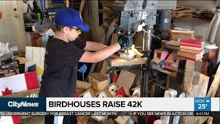 Teen raises over $40k building birdhouses