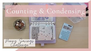 Condensing my Penny Savings Challenge | Saving Challenge Update | BudgetWithDee