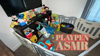 ASMR| Toy cash register, Toy cars, Toy dogs and More! Tingles from Tapping 💤✨