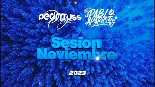 Sesión NOVIEMBRE 2023 Pedro Fernández & Pablo Aparicio Dj (Reggaeton, Comercial, Trap, Flamenco)
