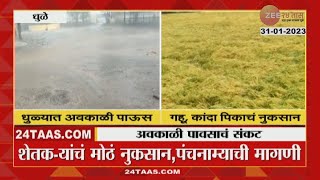 Dhule Unseasonal Rainfall |  अवकाळी पावसाने शेतकऱ्यांचं मोठं नुकसान, पंचनाम्याची मागणी । Zee 24 Taas