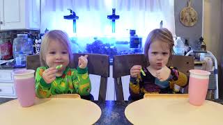 Twins try pickle candy cane