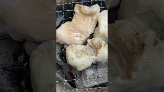 【炭火焼七輪】牛ホルモンをキャロライナリーパー入り激辛調味料で食べたら・・・？  #bbq #shorts #asmr