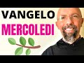 14 Agosto Vangelo del Giorno Commento Benedizione ☩ Liturgia della Parola