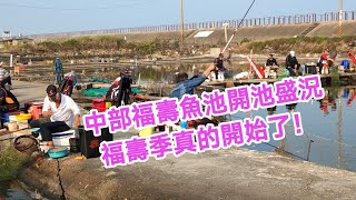 【福壽魚之章】福壽魚池開池熱鬧滾滾，此起彼落的中魚真刺激！