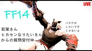 【FF14】No.２５６［ルレとか！参加型！初挑戦さん大歓迎！質問も是非！］初見さん、若葉ヒカセンさん、ヒカセンになりたいさん、既見さんも歓迎！