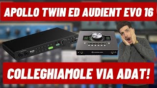 Come collegare UAD Apollo Twin ed Audient Evo 16 via adat!