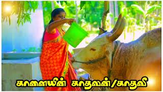 ✨...காளையின் காதலன்/காதலி...✨Whatsapp status..🎃