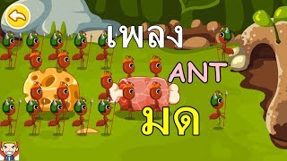 เพลง ANT มด