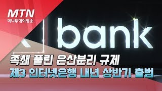 족쇄 풀린 은산분리 규제... 제3 인터넷은행 내년 상반기 출범 / 머니투데이방송 (뉴스)