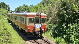 いすみ鉄道  国鉄形気動車キハ28 \u0026 キハ52  2蓮で夏を走る