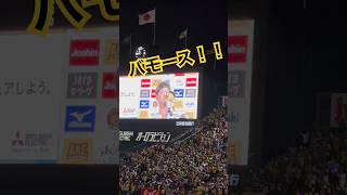 サトテル「バモース！」M1で最高の盛り上がり‼️