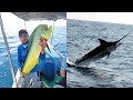 Pesca de DORADOS Y ATUNES, Mucha Pesca, MARLIN GIGANTE, PESCA Y AVENTURA 2022