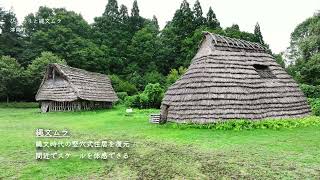 「そらなび」ひまわりと縄文ムラ（津南町）2024年8月17日放送回