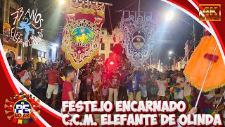 [ PRÉVIAS 2025 ]  LARGO DO AMPARO EM FESTA COM O  CCM ELEFANTE DE OLINDA - FEV 2025