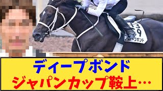 【競馬】「ディープボンド ジャパンカップ鞍上…」に対する反応【反応集】