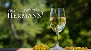 Hermann Wine Tour 2023