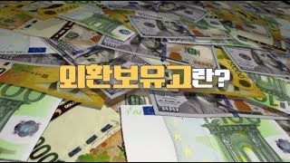 알면 돈이 되는 경제상식 - [외환보유고]