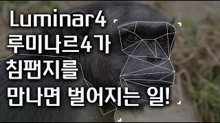 루미나르4 강의 동영상보고 실제 luminar4의 ai능력평가!