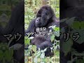 個人的動物最強王図鑑最強ランキングtop32　 動物最強王図鑑　 動物最強王図鑑pfp　 マンガ動物最強王図鑑ザ・ストーリー　 空中最強王図鑑　 最強王図鑑　 最強ランキング