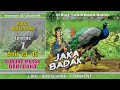 Jaka Badak - Burung Merak Dari Daha - Episode 7 Seri 13 - 15 Rasa Cemburu Jaka Badak