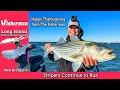 November 27th 2024 Long Island Metro Fishing Report with Matthew Broderick