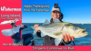 November 27th 2024 Long Island Metro Fishing Report with Matthew Broderick