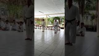 Sensei Oscar Garcia y Sensei Marvin Demostración de kata Bassai Dai de estilo shito ryu y Shotokan.