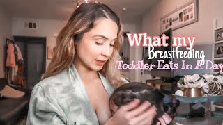 What My Breastfeeding Toddler Eats In A Day | Easy Toddler Meal Ideas 2020