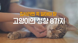 집사라면 꼭 알아야 할 고양이의 성향 8가지with CLOVA Dubbing