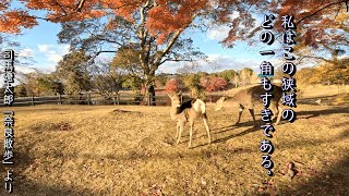 【奈良散歩】　転害門、二月堂界隈　「街道をゆく（司馬遼太郎）」より