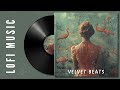 Velvet Beats  -  Lo fi Music for Chill and Relax