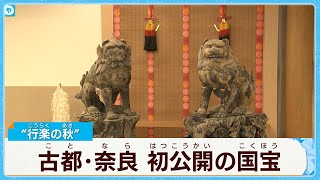 【春日大社】若宮神社工事完了記念　若宮国宝展が開催へ