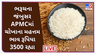 Mandi:  ભરૂચના જંબુસરAPMCમાં ચોખાના મહત્તમ ભાવ રૂપિયા 3500 રહ્યા | Tv9News