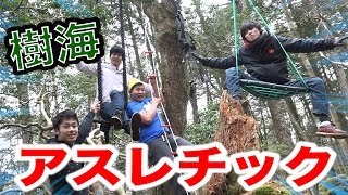 樹海の木でアスレチックを作ってみたら！？