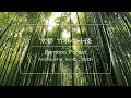 時空の栞　－Bamboo forest in Arashiyama,Kyoto Lumix DMC-LX100－