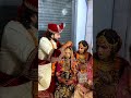 एक शादी ऐसी भी ❤️❤️एक दुल्हा पाँच दुल्हन 😱viral video 100 million trending wedding comedy