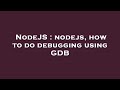 NodeJS : nodejs, how to do debugging using GDB