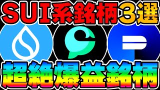 【金持ち確定】SUI系銘柄3選！！超絶期待値が高い爆益コインで億を狙えっ！【仮想通貨】【SUI】【CETUS】【DEEP】