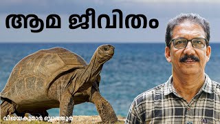 ആമ  ജീവിതം  Ancient Wanderers: Exploring the World of Turtles and Tortoises #turtle #turtoise #fact