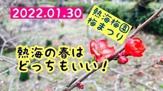 【お散歩64】【熱海でお散歩】【梅】【歩きごたえ有り！】熱海の春はどっちもいい！　後編