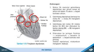 KELISTRIKAN PADA JANTUNG DAN TULANG, SERTA HEWAN-HEWAN YANG MENGHASILKAN LISTRIK IPA TERPADU IX