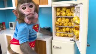 baby monkey bon bon goes to the supermarket