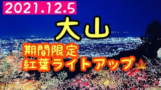 【お散歩50】【お散歩】【紅葉】【ライトアップ】【観光】大山紅葉ライトアップ🍁