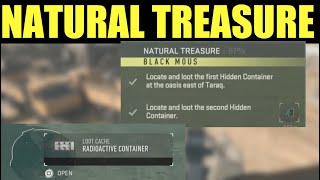 Locate and loot the First Hidden Container at the oasis east of Taraq DMZ (Natural Treasure)