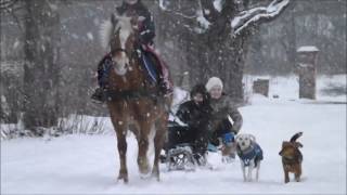 Danny and the kids sledding winter 2017 Studniska Dolne